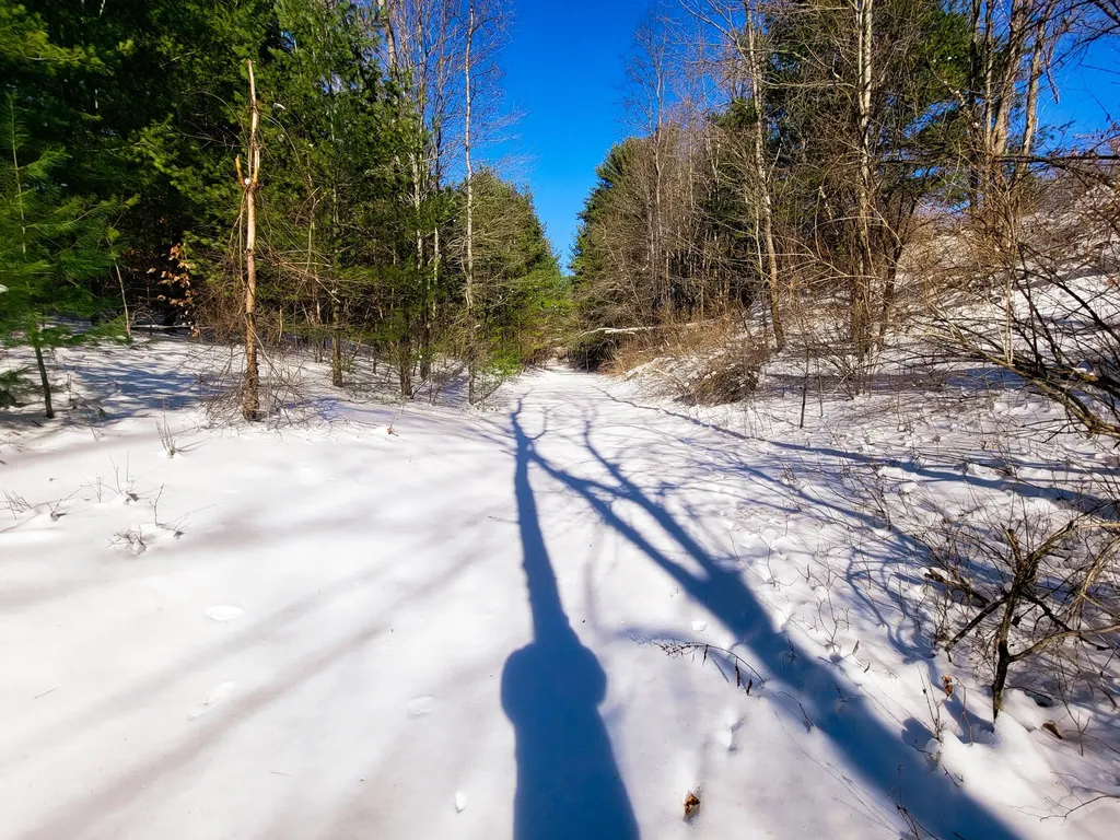 196 Farwell Street Barre Town VT 05641