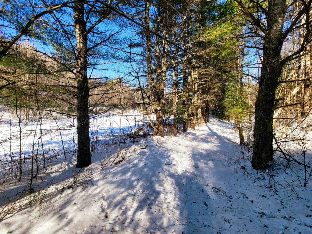 196 Farwell Street Barre Town VT 05641