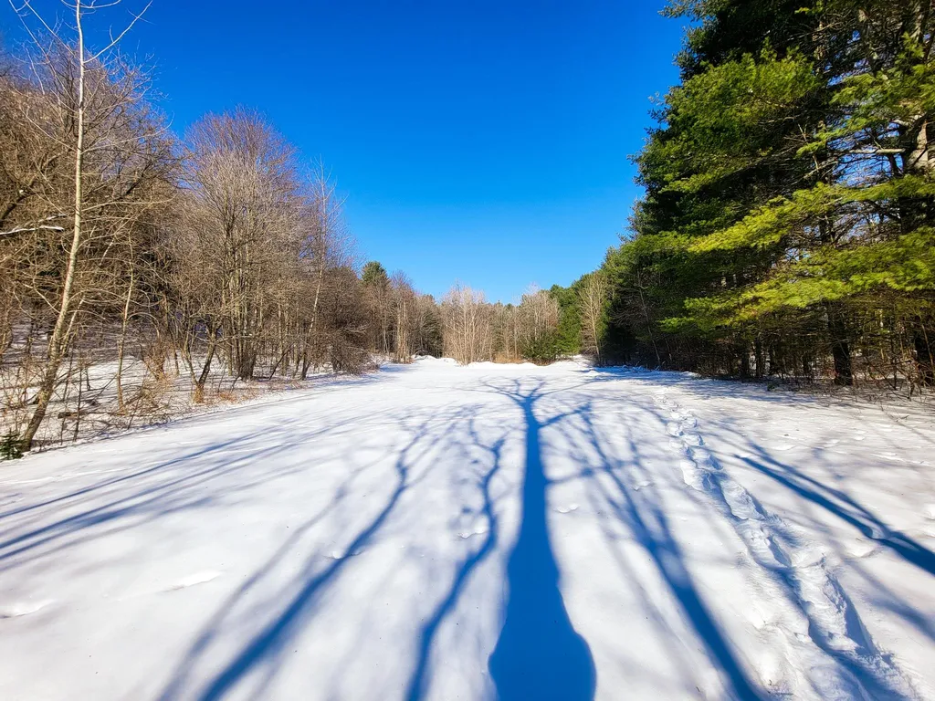 196 Farwell Street Barre Town VT 05641