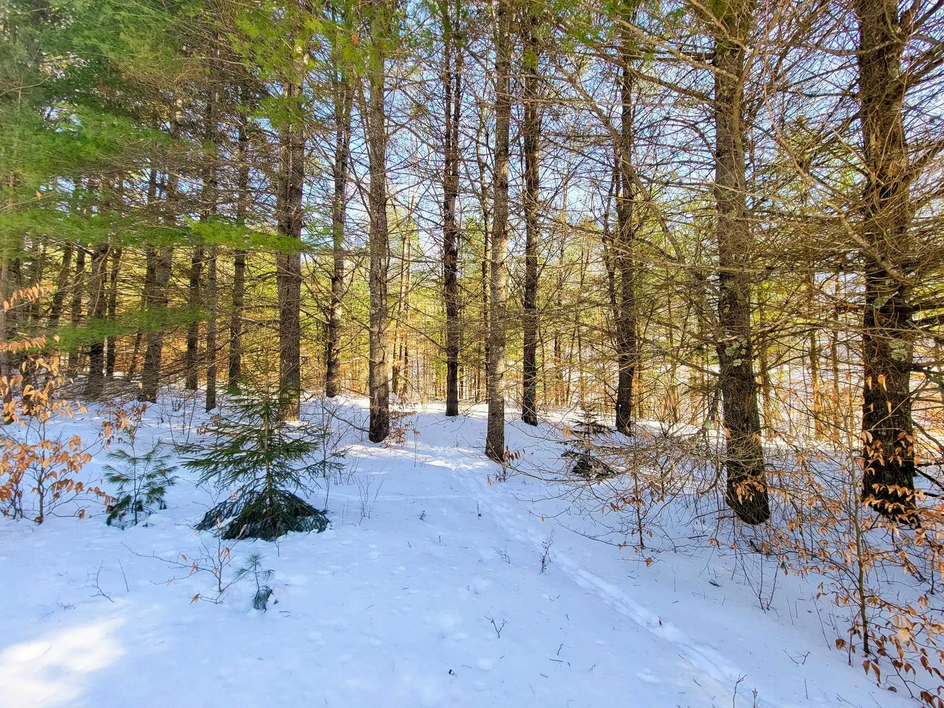 196 Farwell Street Barre Town VT 05641