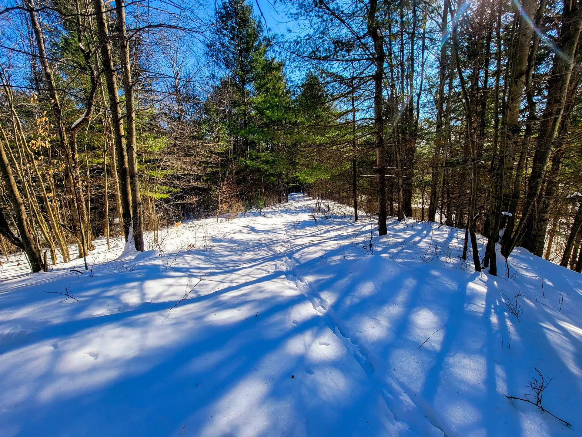 196 Farwell Street Barre Town VT 05641