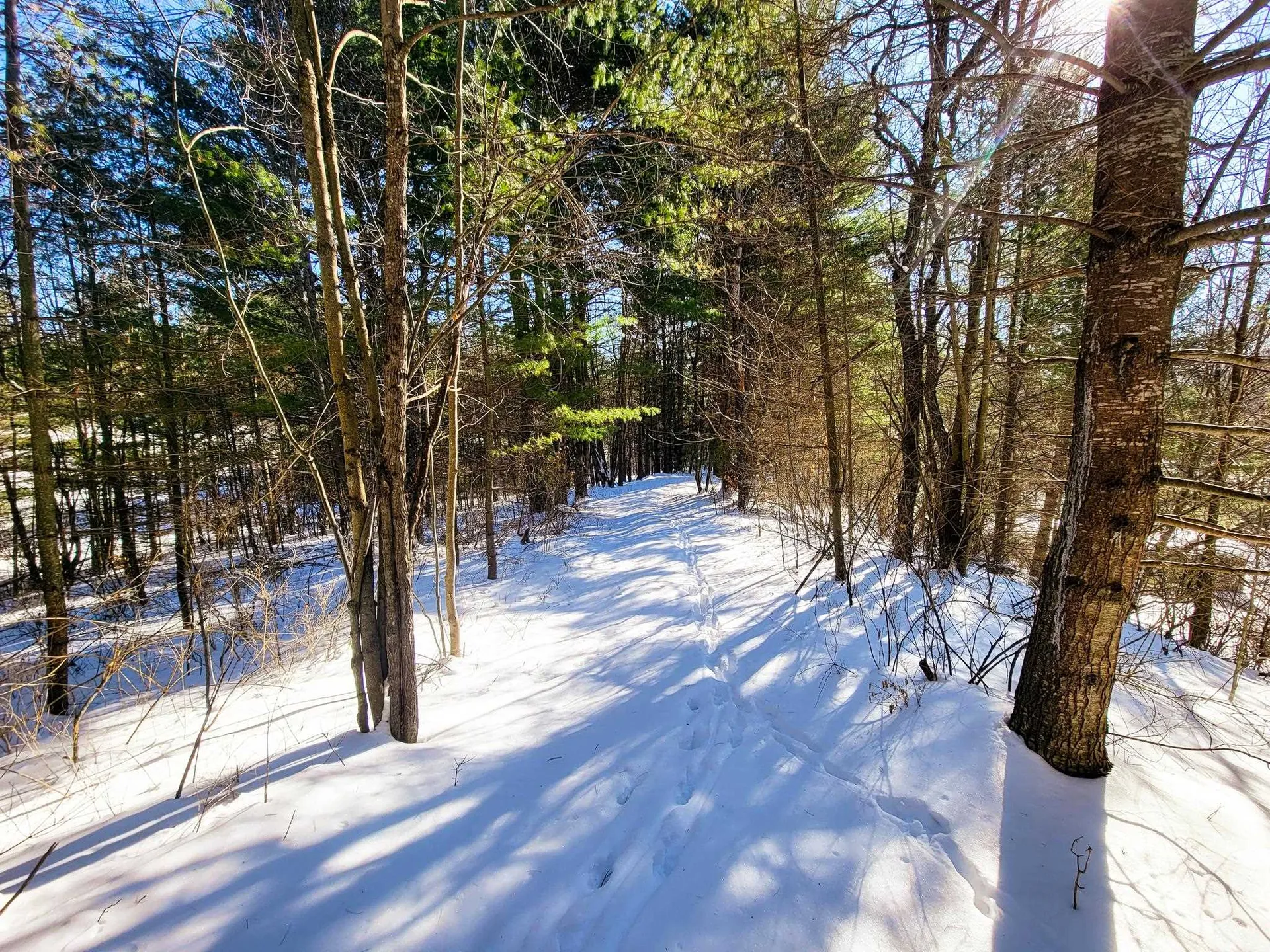 196 Farwell Street Barre Town VT 05641