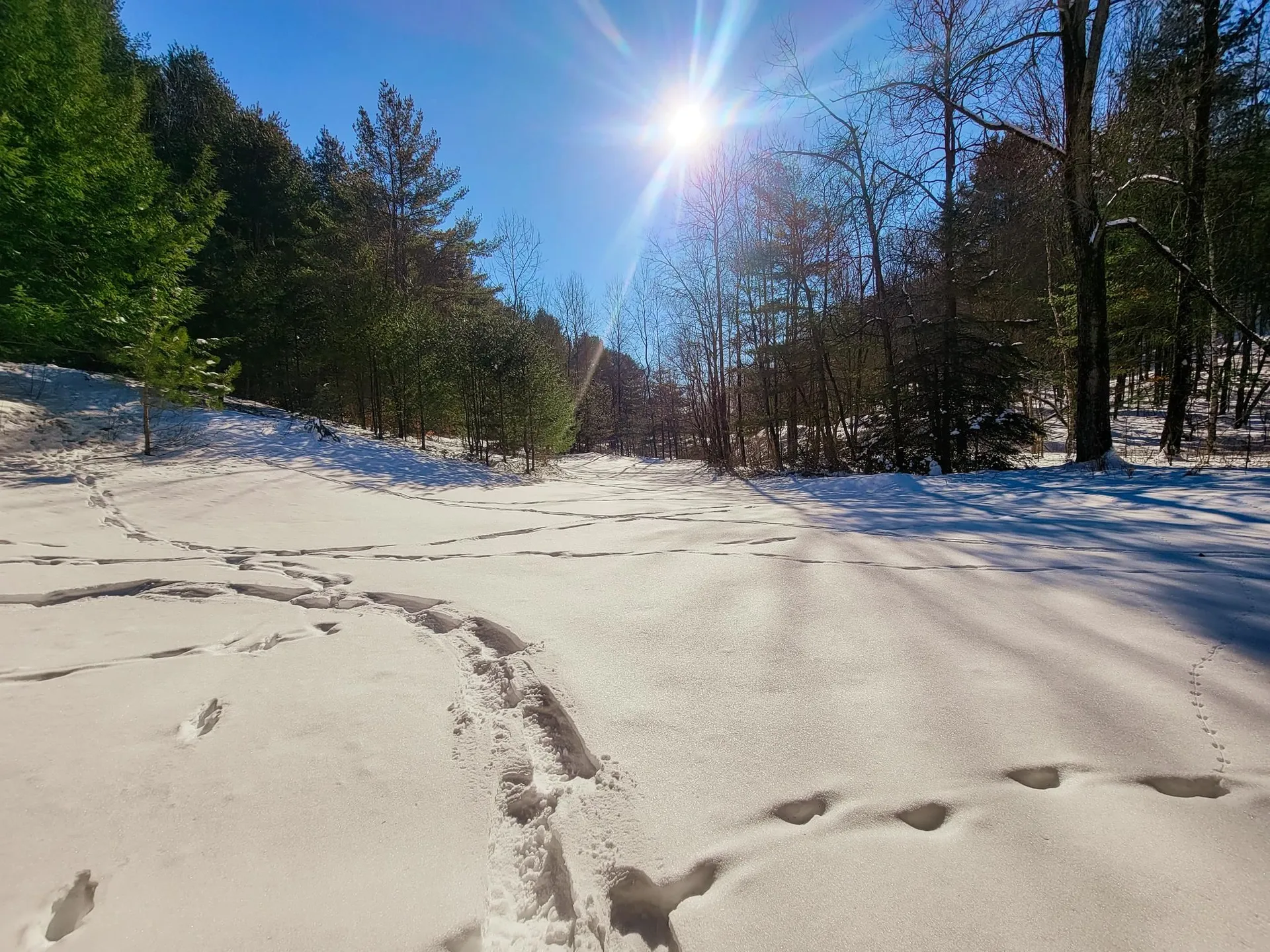 196 Farwell Street Barre Town VT 05641