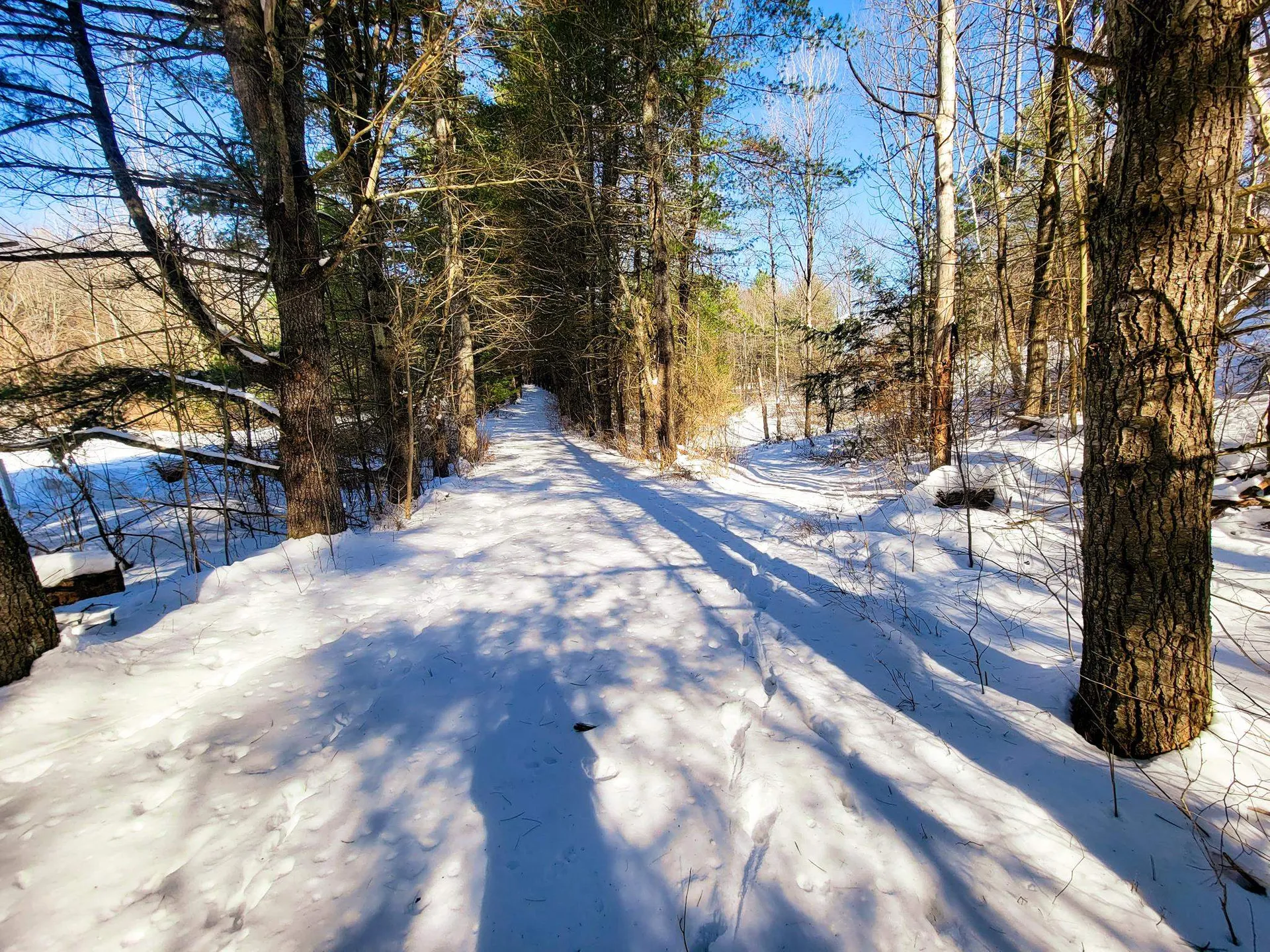 196 Farwell Street Barre Town VT 05641