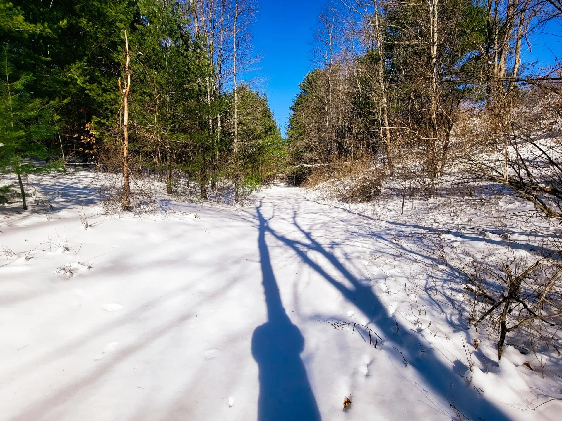 196 Farwell Street Barre Town VT 05641