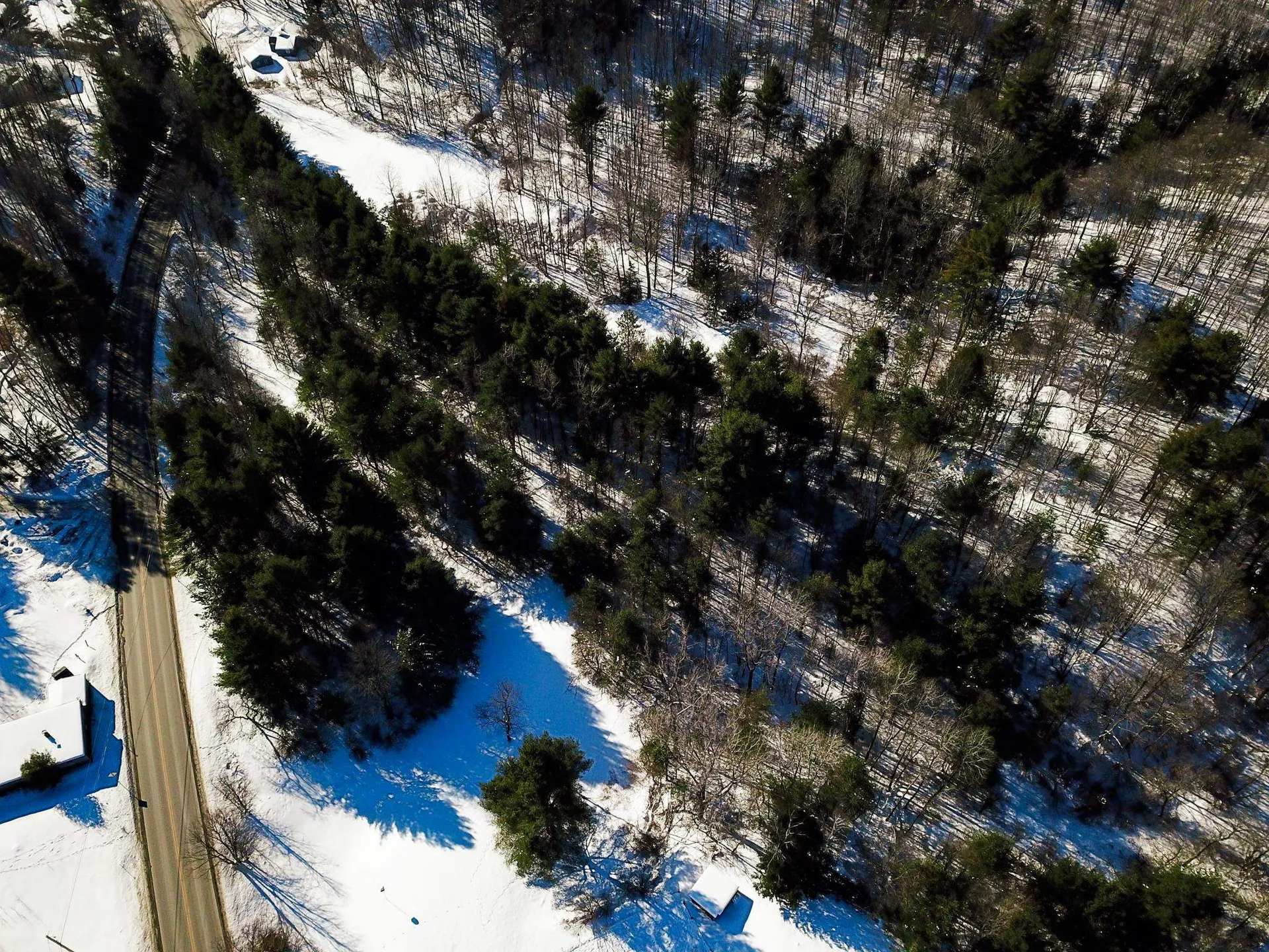 196 Farwell Street Barre Town VT 05641