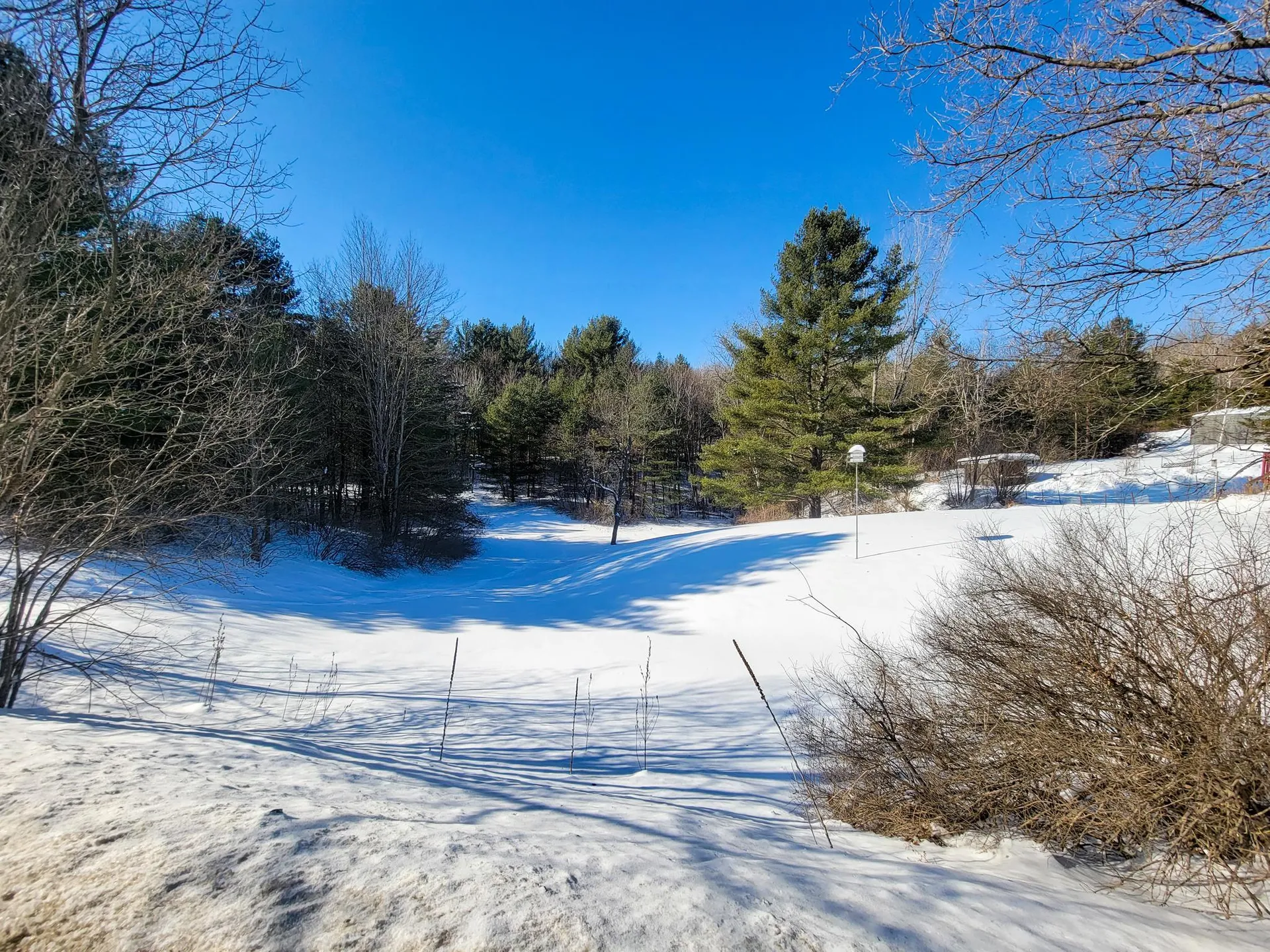 196 Farwell Street Barre Town VT 05641