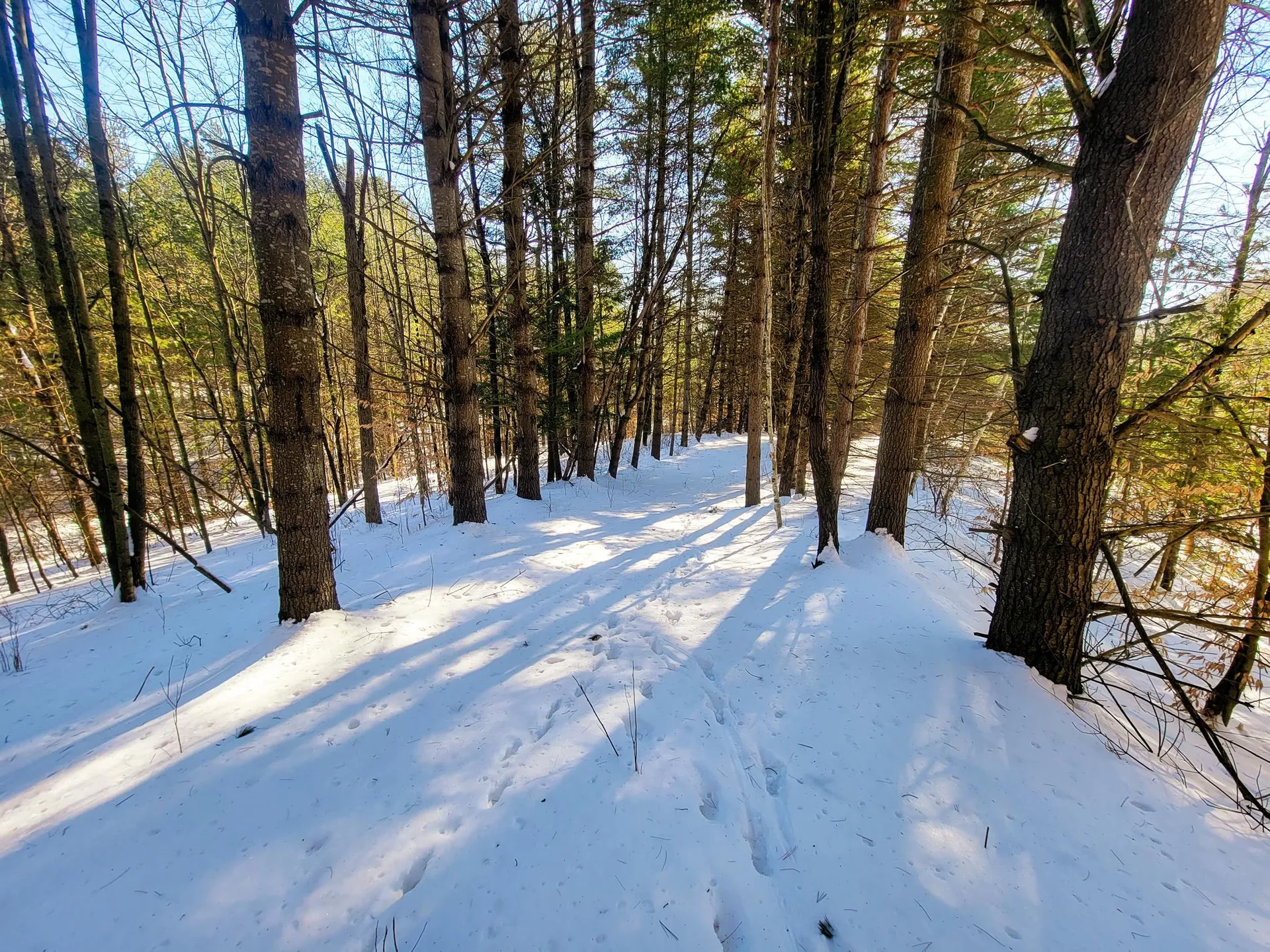 196 Farwell Street Barre Town VT 05641