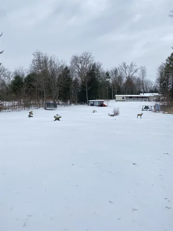 56 Middle Oxbow Road Hinsdale NH 03451
