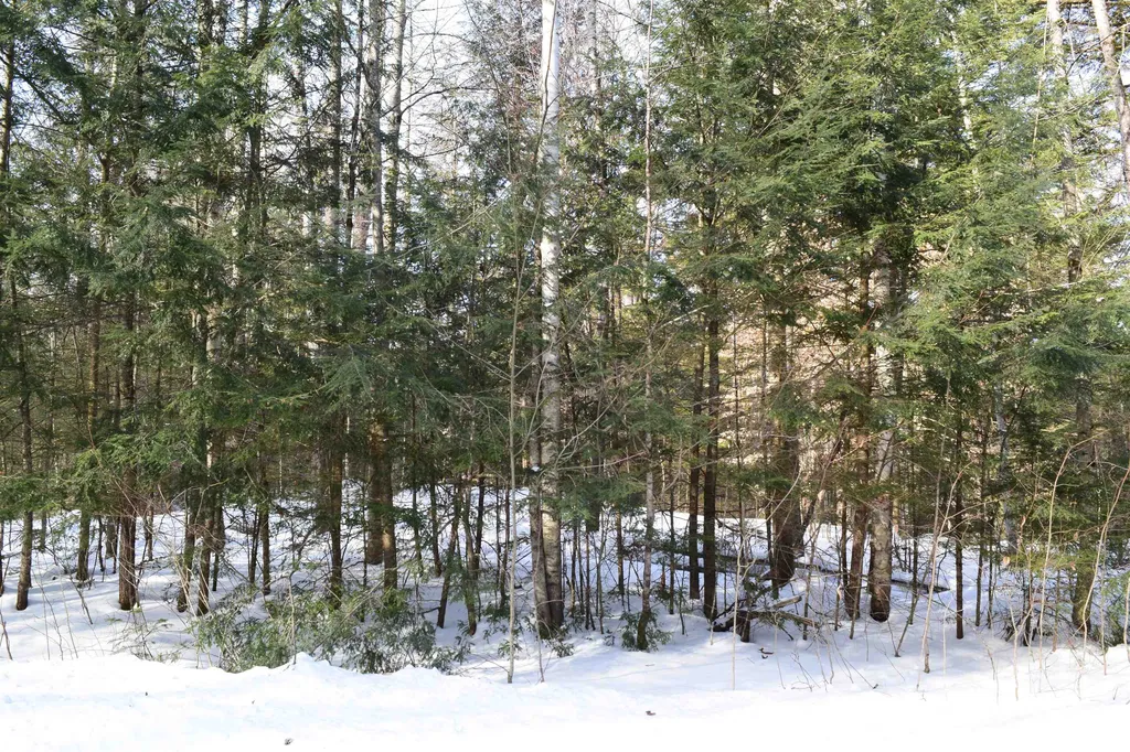 Carr Road Haverhill NH 03765