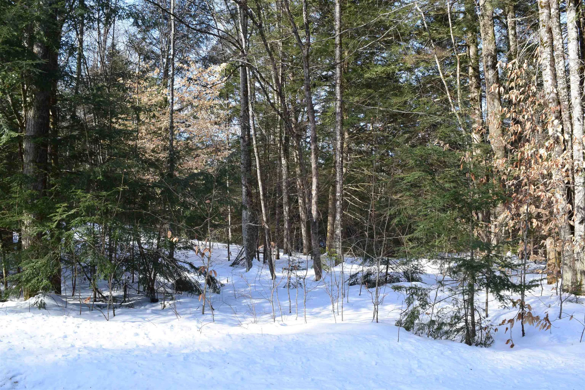 Carr Road Haverhill NH 03765