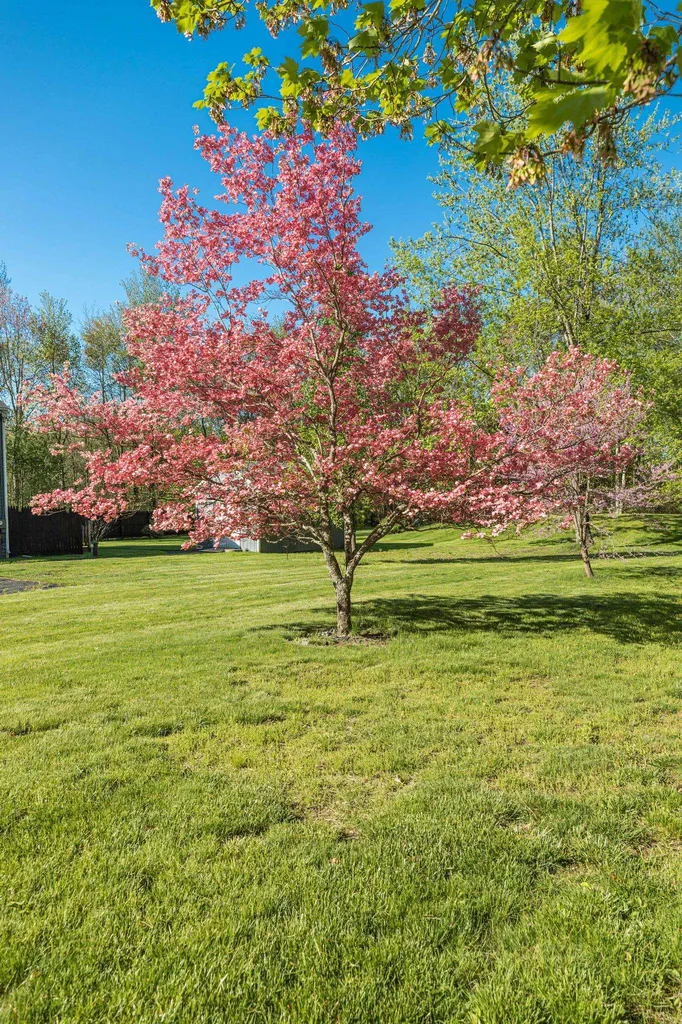 10 Beech Hill Road Exeter NH 03833