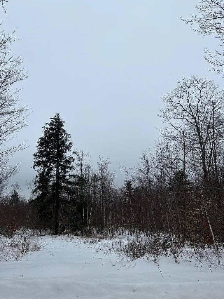 110 White Oaks Road Barnstead NH 03225