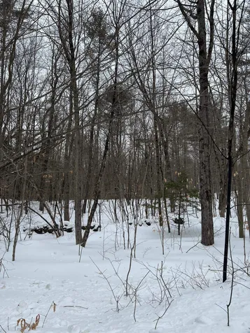 110 White Oaks Road Barnstead NH 03225