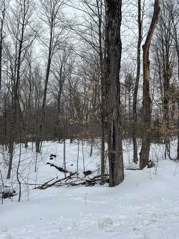 110 White Oaks Road Barnstead NH 03225