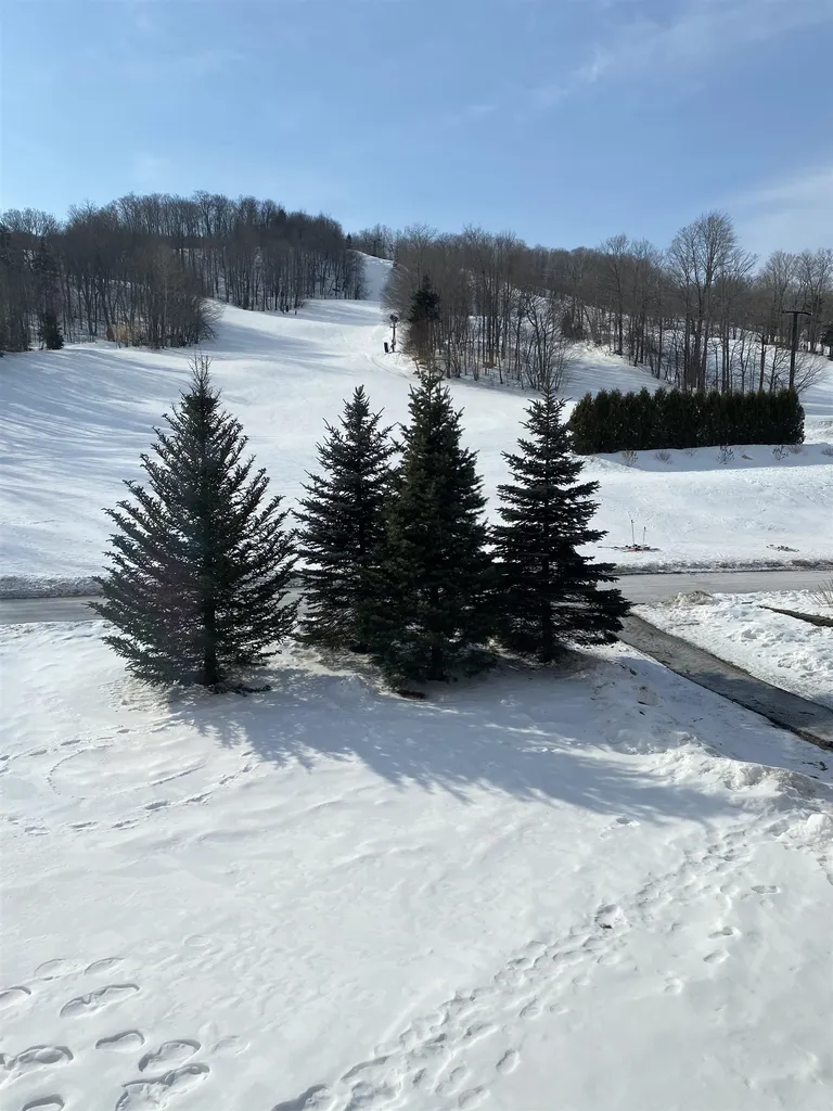 217 Qtr.1,89 Grand Summit Way Dover VT 05356