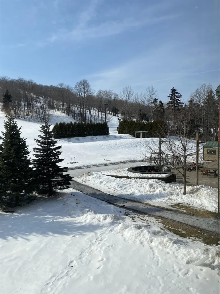217 Qtr.1,89 Grand Summit Way Dover VT 05356
