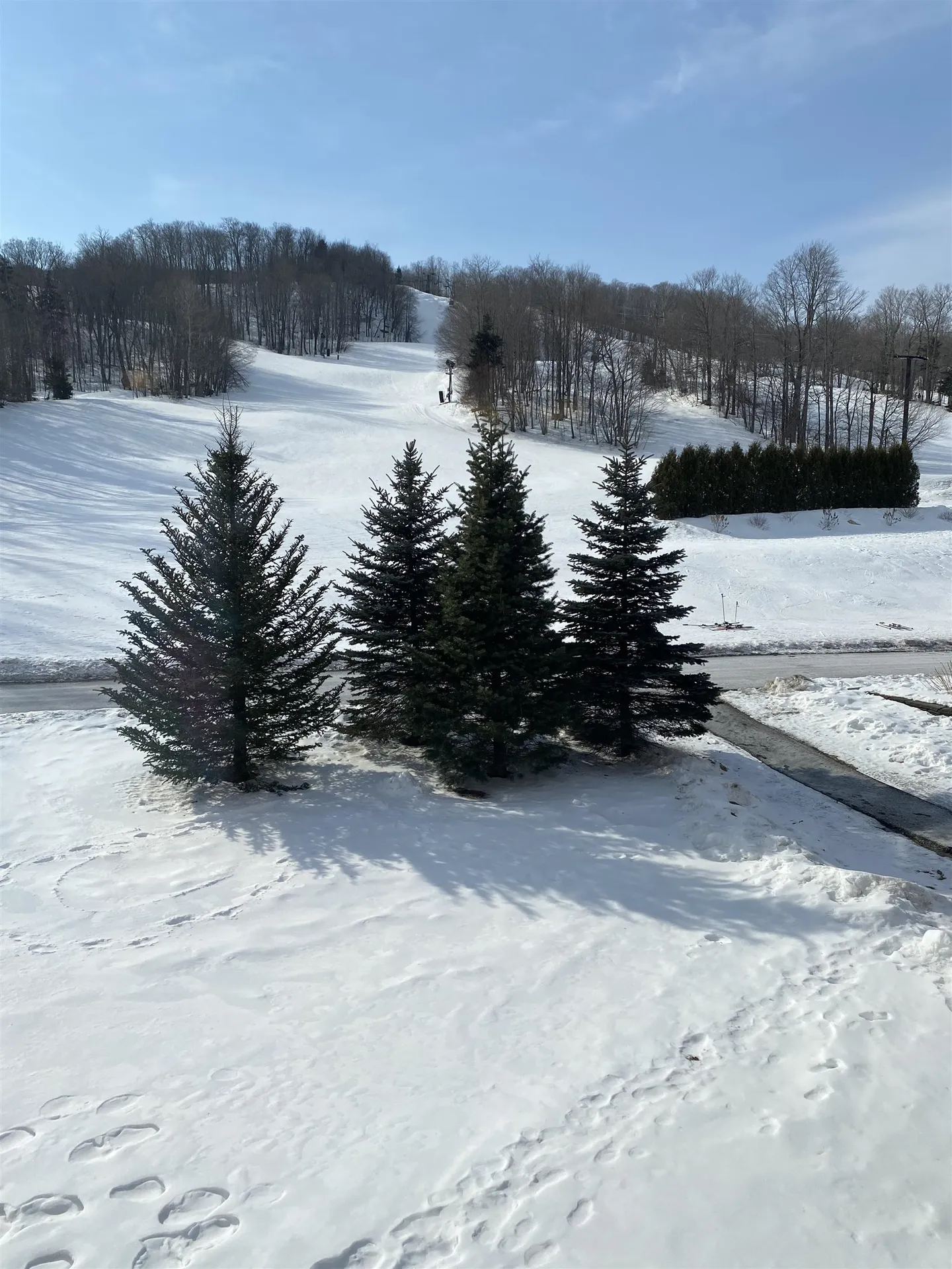 217 Qtr.1,89 Grand Summit Way Dover VT 05356