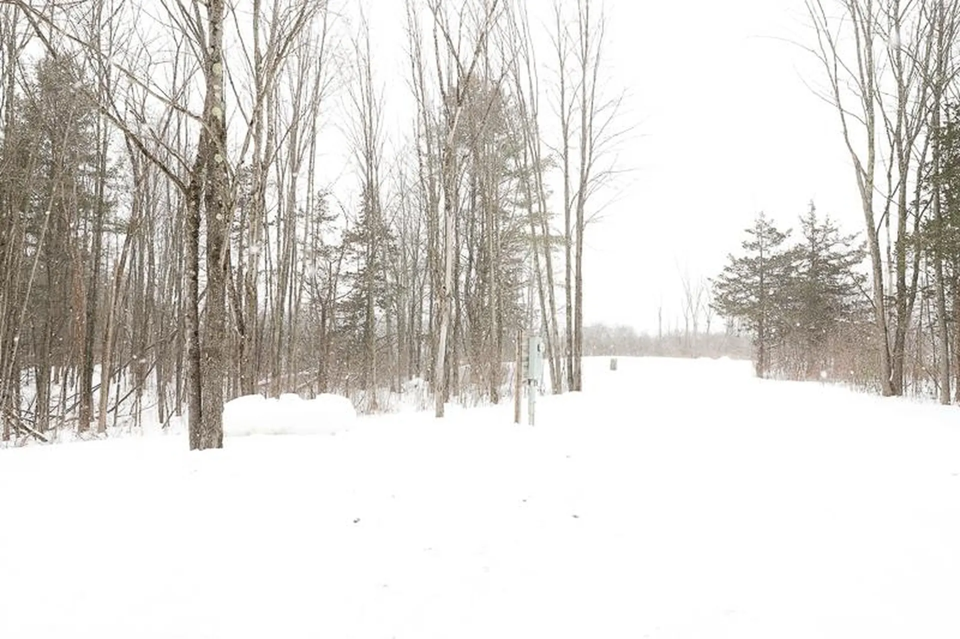 495 Fuller Mountain Road Ferrisburgh VT 05456