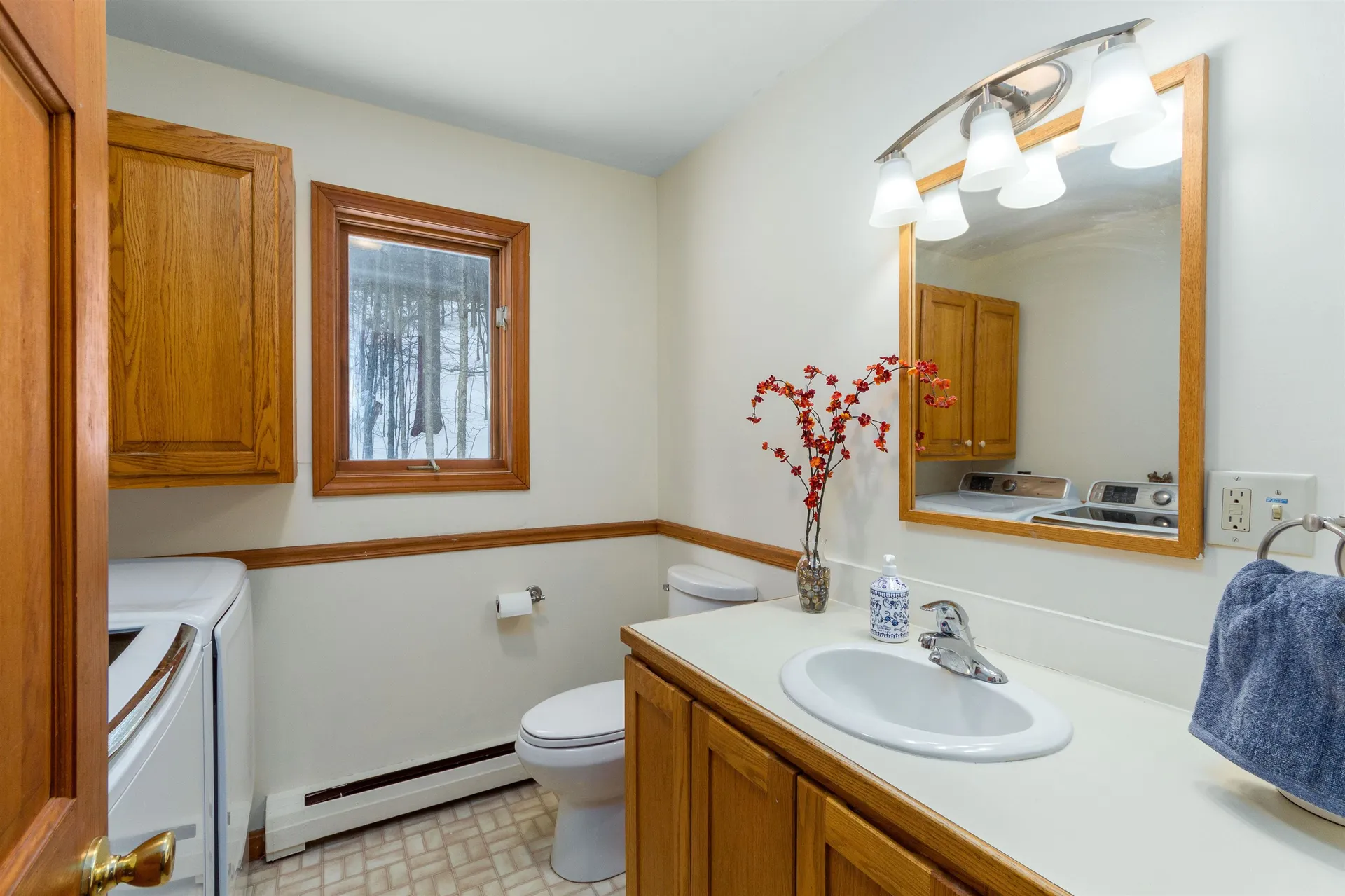 51 Alpine Drive Jericho VT 05465
