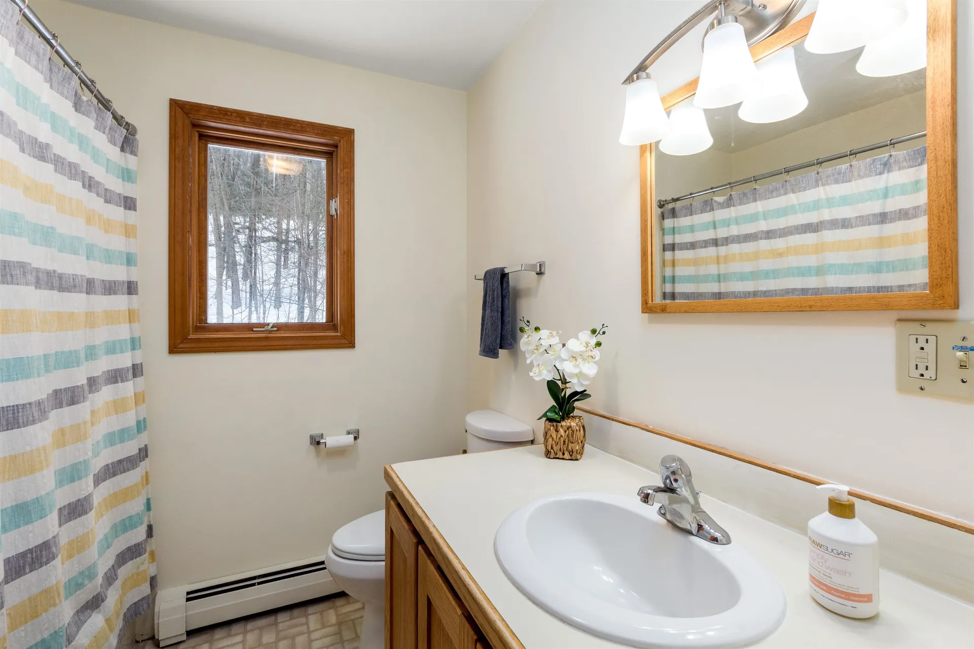 51 Alpine Drive Jericho VT 05465