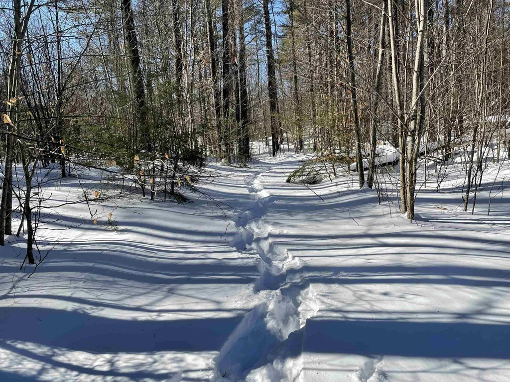 1040 East Washington Road Hillsborough NH 03244