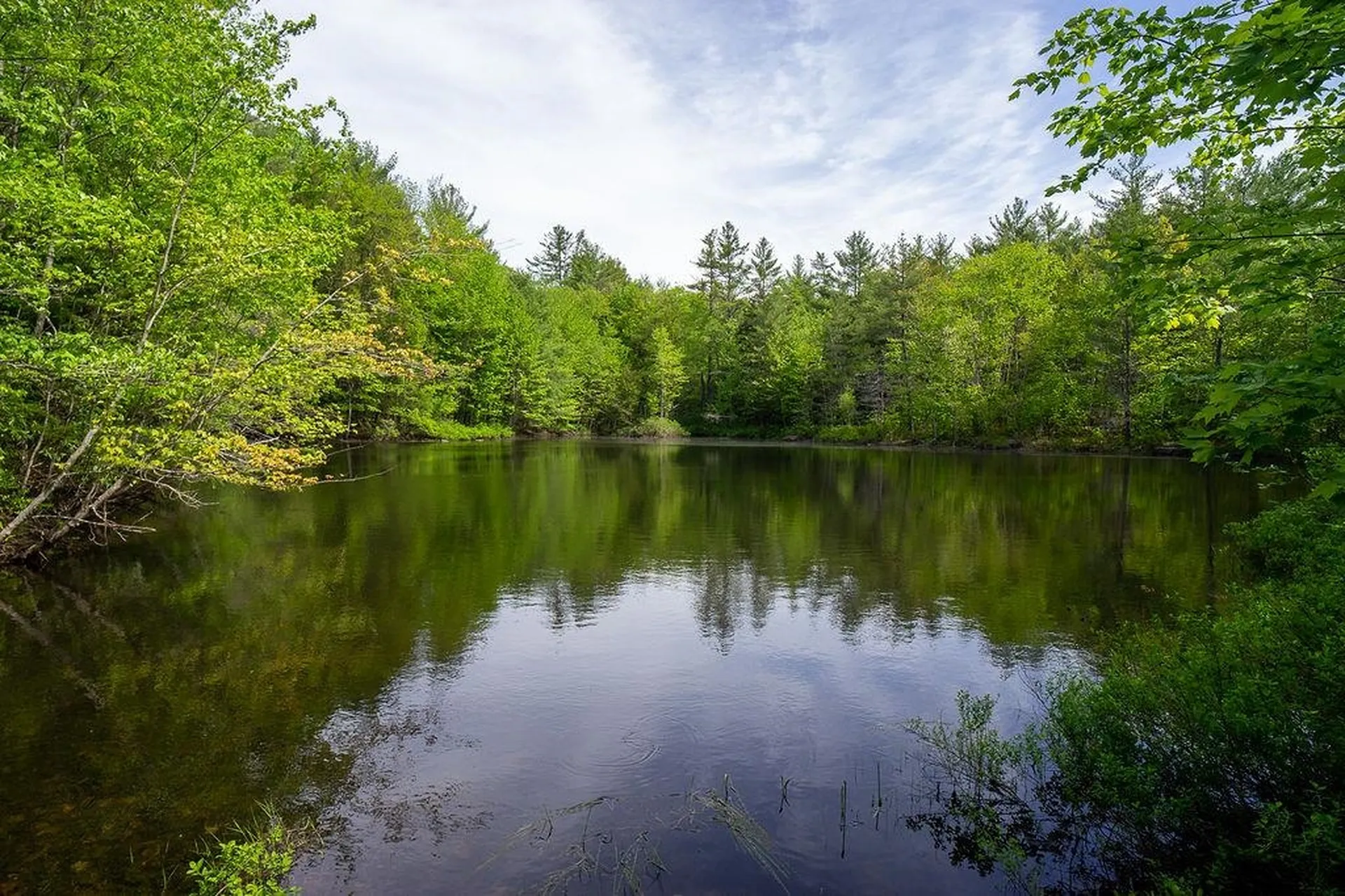 1040 East Washington Road Hillsborough NH 03244