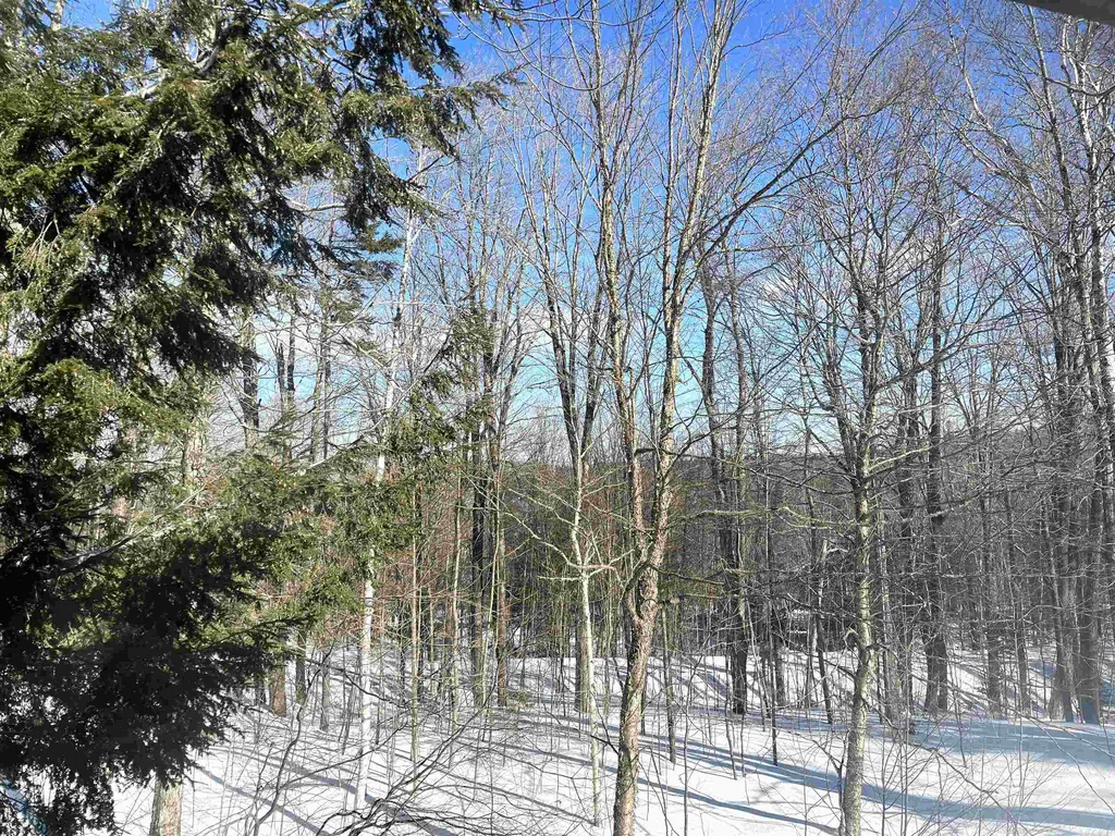 68 Glebe Mountain Road Windham VT 05359
