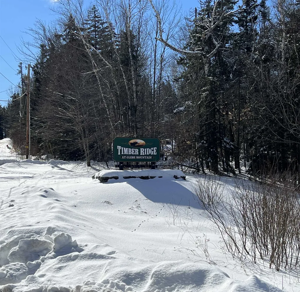 68 Glebe Mountain Road Windham VT 05359