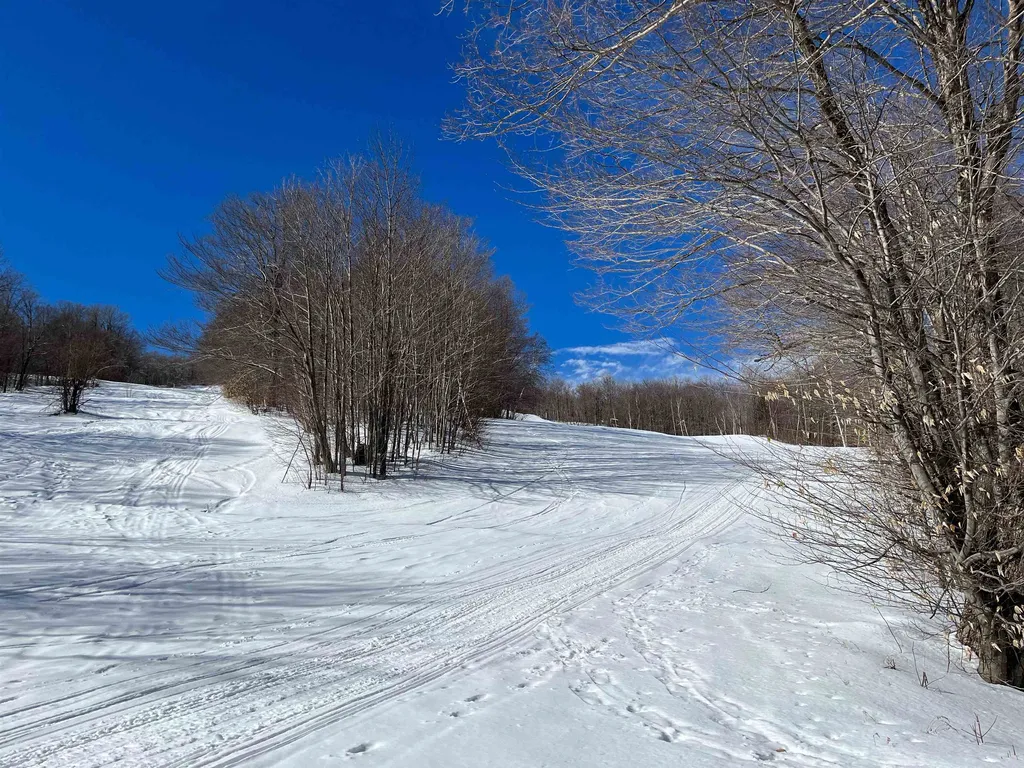 68 Glebe Mountain Road Windham VT 05359