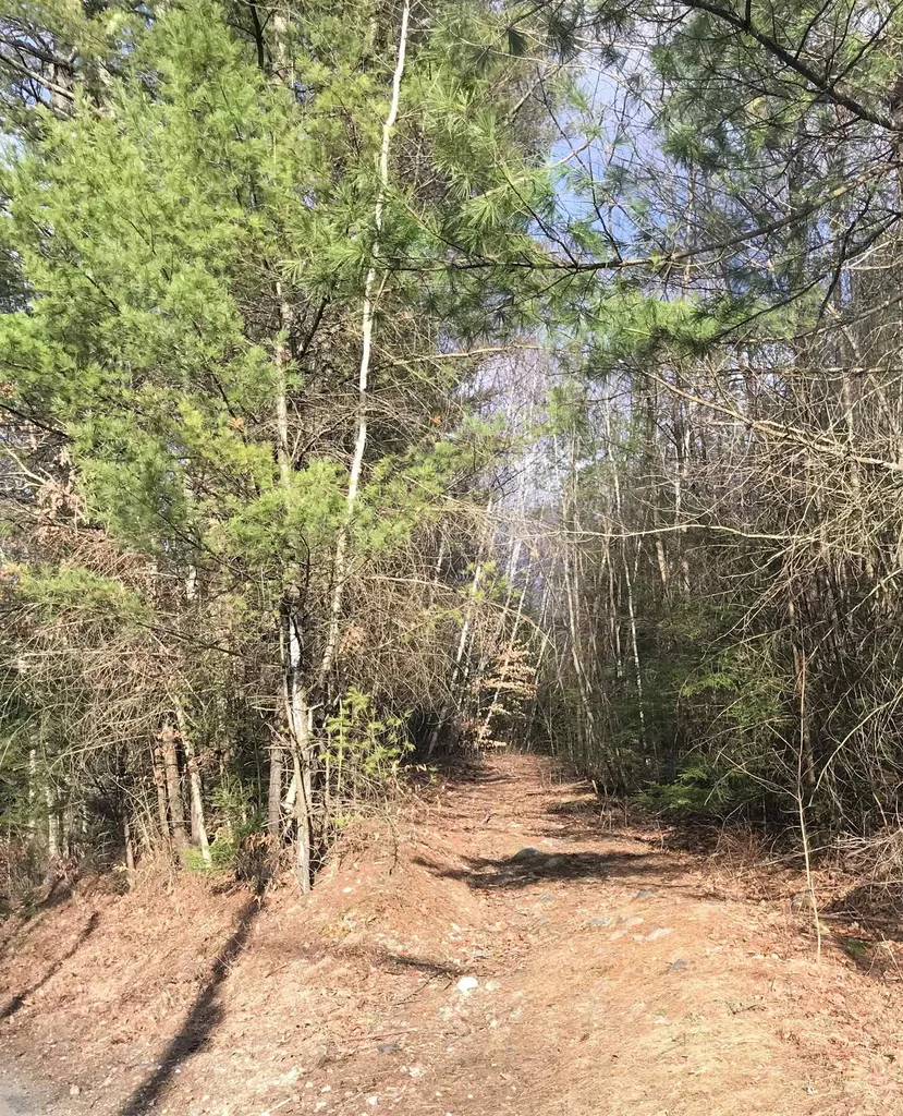 Forest Lake Road Winchester NH 03470