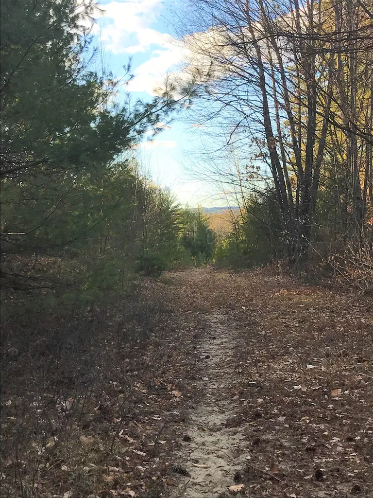 Forest Lake Road Winchester NH 03470