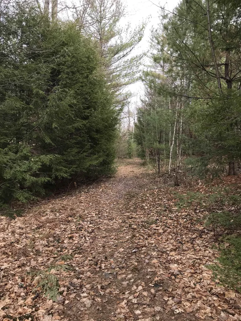 Forest Lake Road Winchester NH 03470