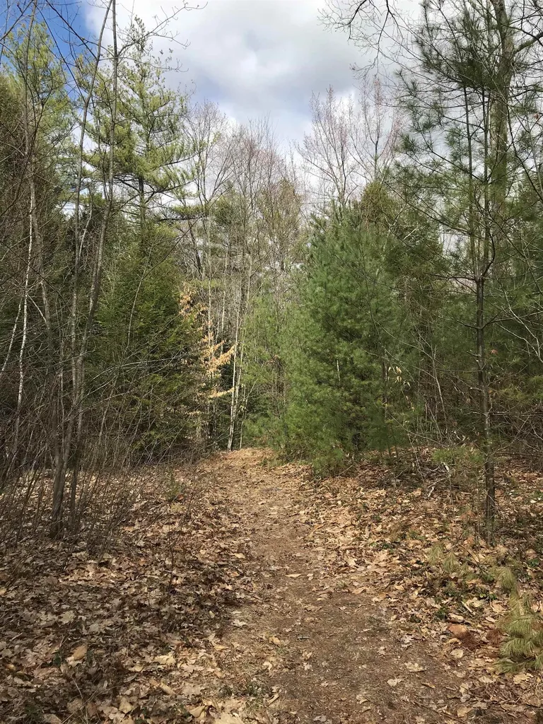Forest Lake Road Winchester NH 03470