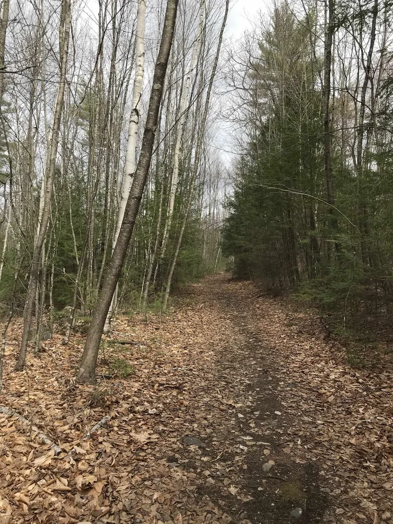Forest Lake Road Winchester NH 03470