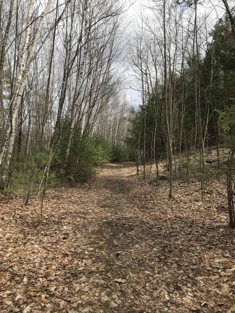 Forest Lake Road Winchester NH 03470