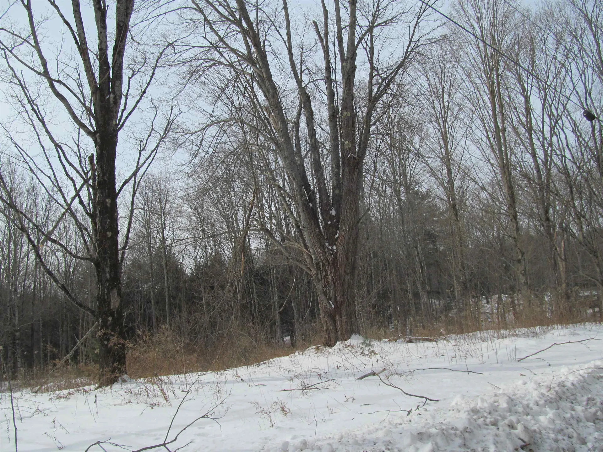 63 Slab City Road Claremont NH 03743