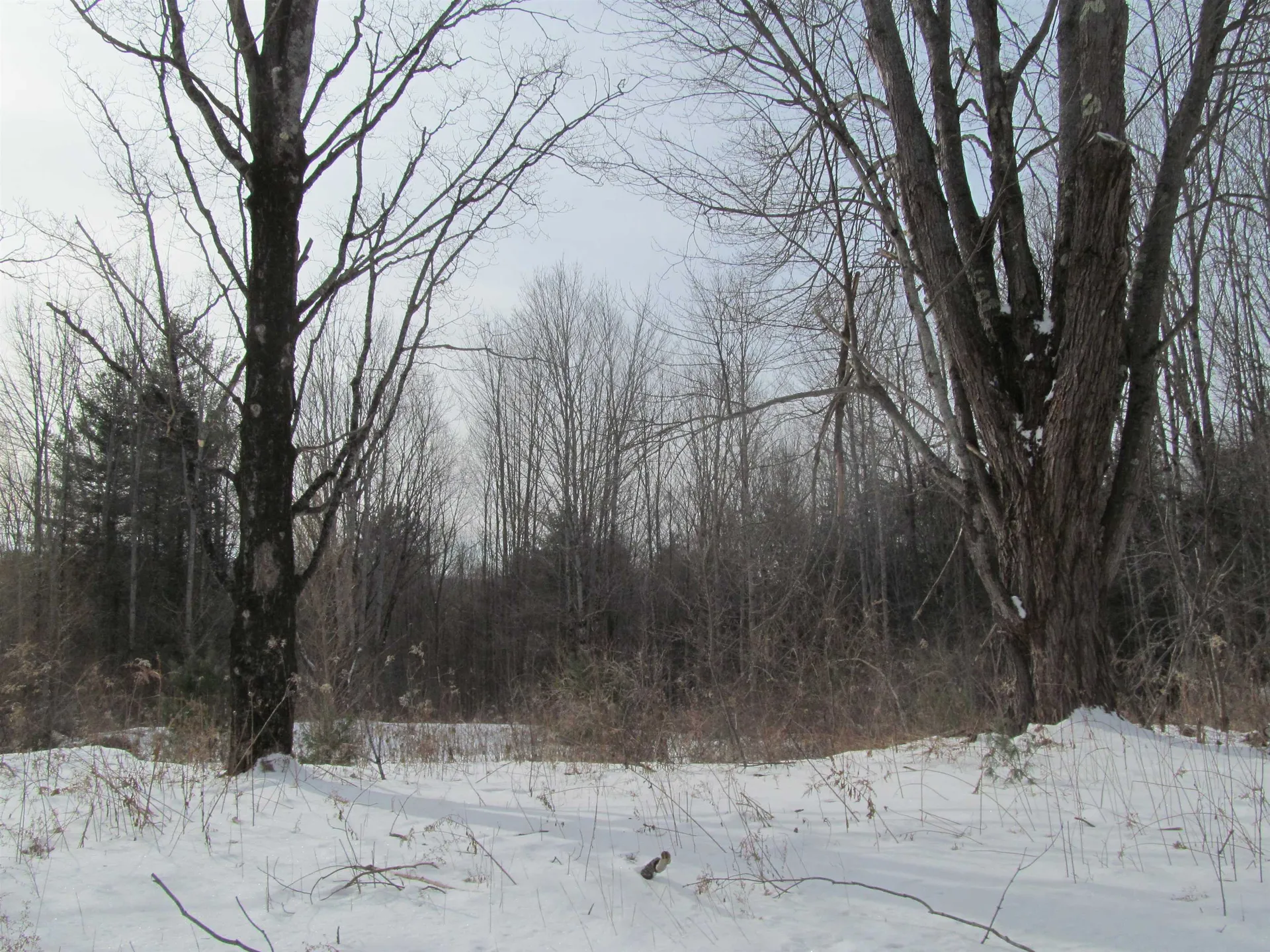 63 Slab City Road Claremont NH 03743