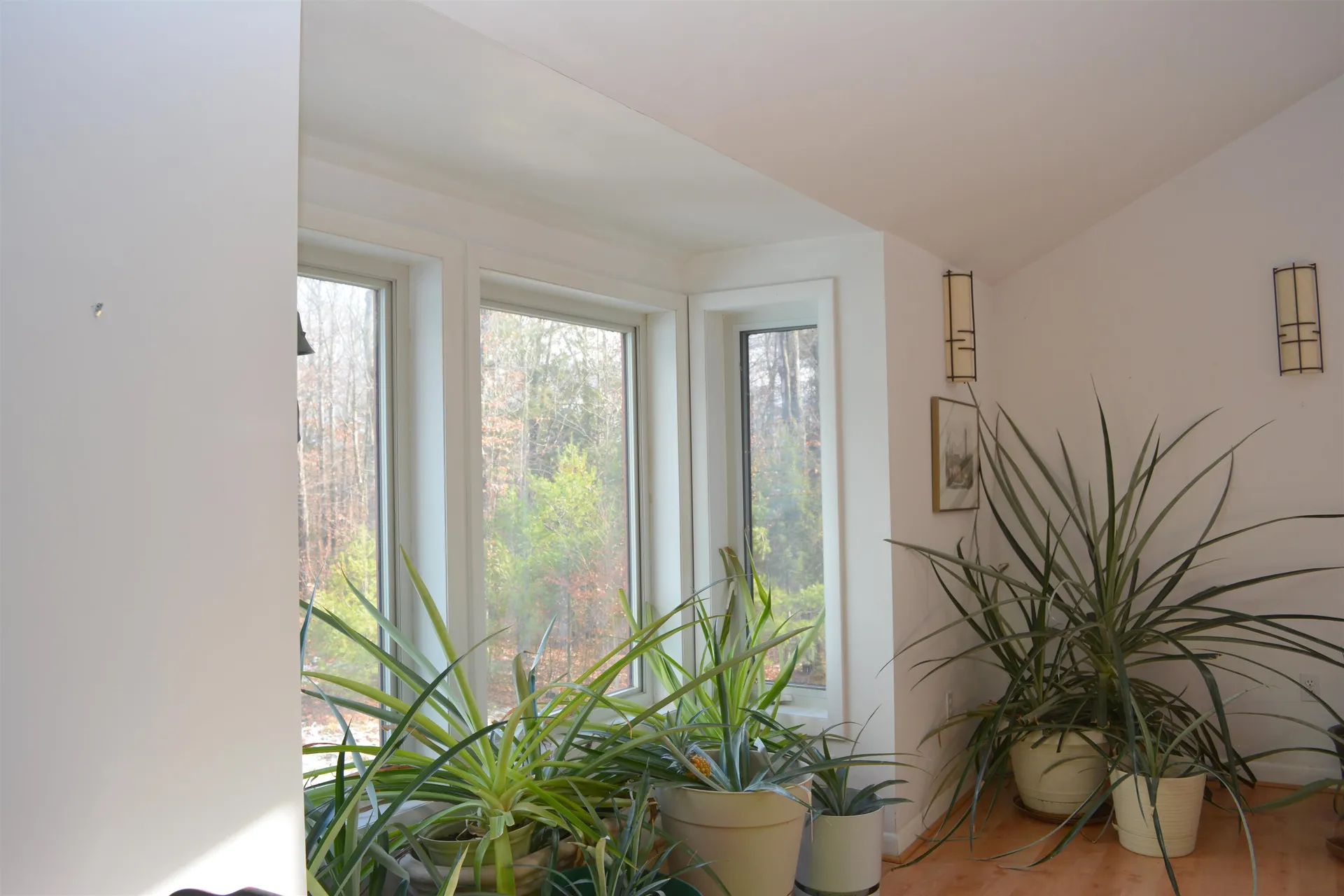 24 Hickory Overlook Enfield NH 03748