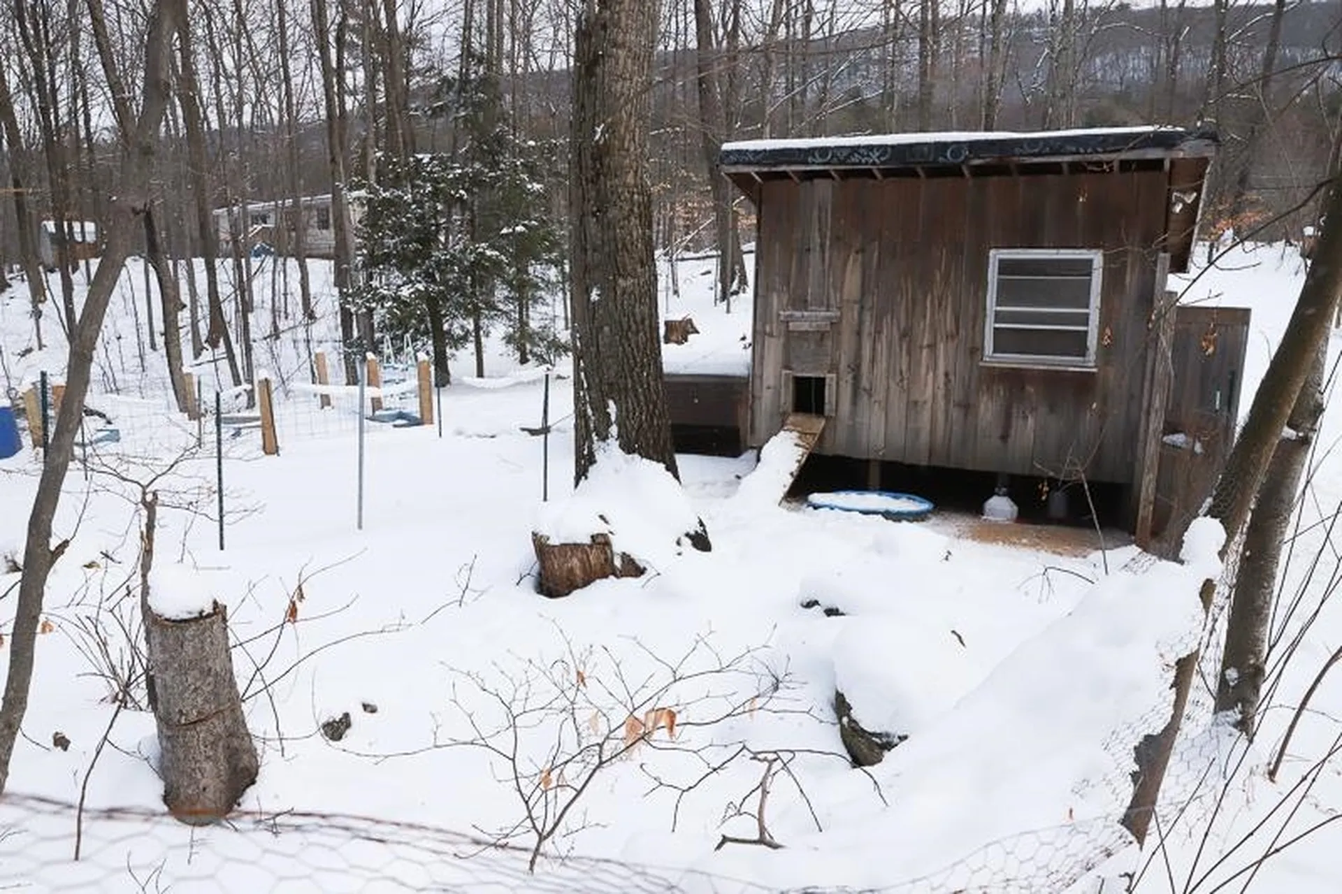 1994 Lake Dunmore Road Leicester VT 05733