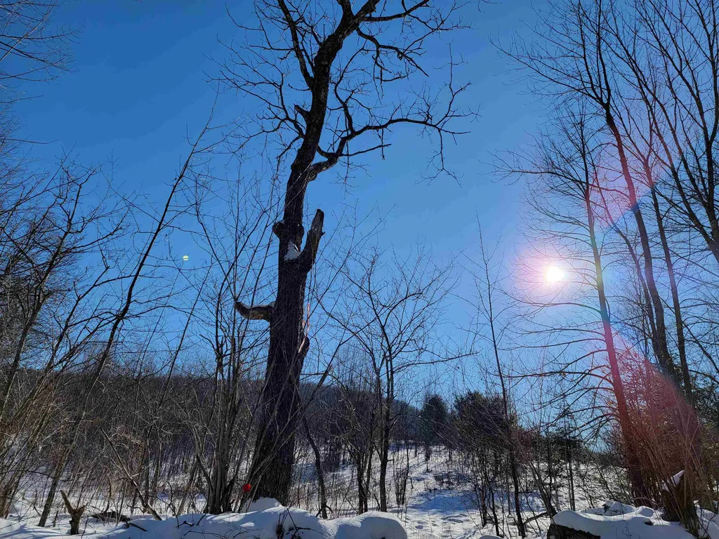 22 Crane Hill Road Sugar Hill NH 03586