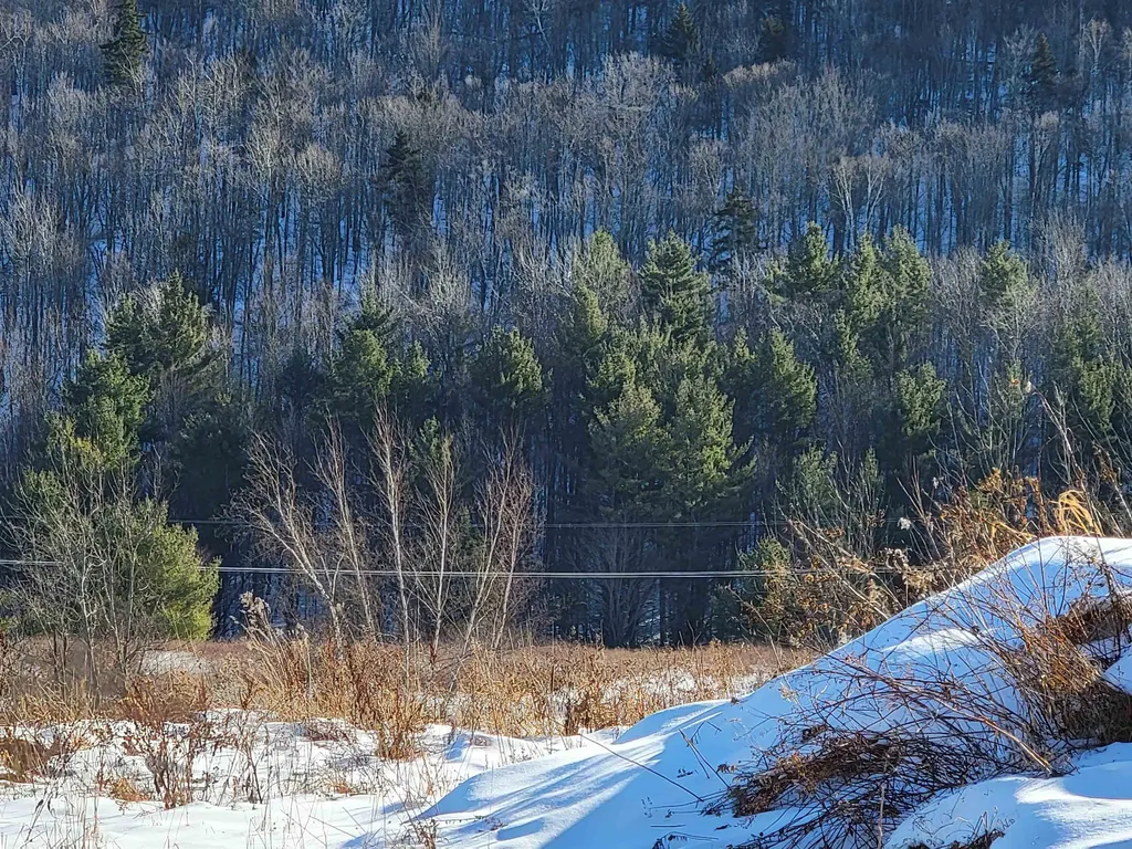 22 Crane Hill Road Sugar Hill NH 03586