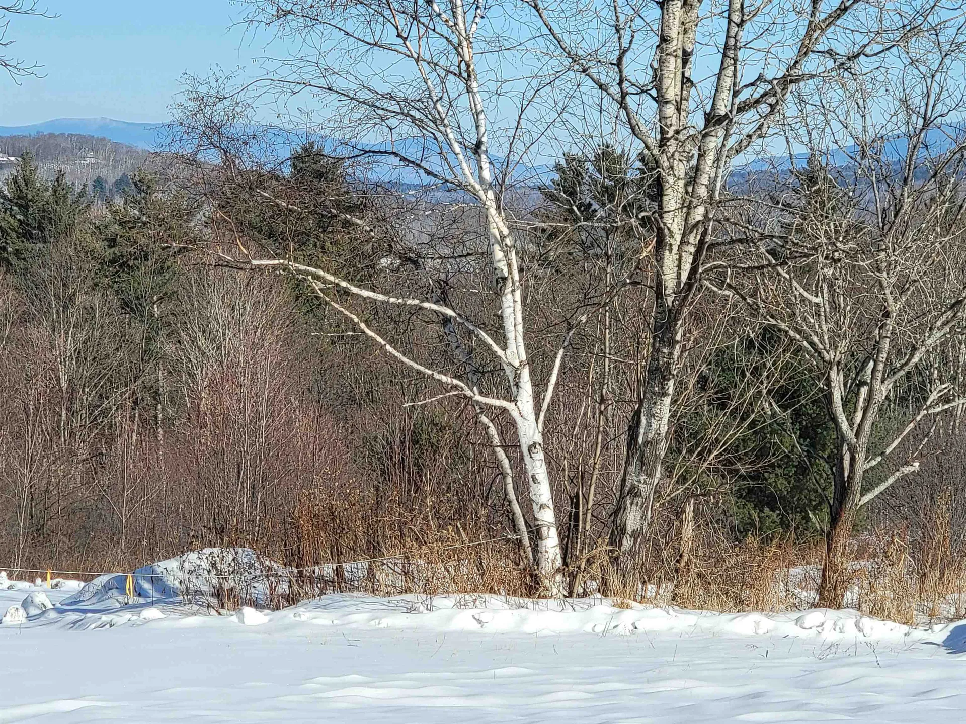 22 Crane Hill Road Sugar Hill NH 03586