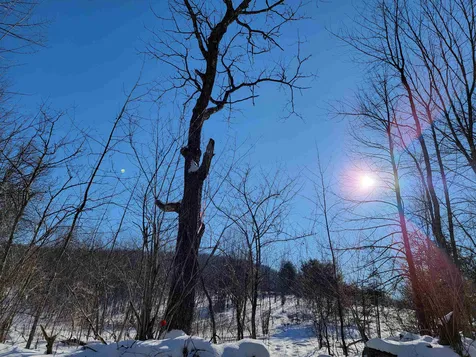 22 Crane Hill Road Sugar Hill NH 03586