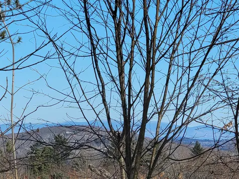 22 Crane Hill Road Sugar Hill NH 03586