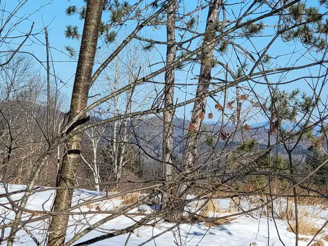 22 Crane Hill Road Sugar Hill NH 03586