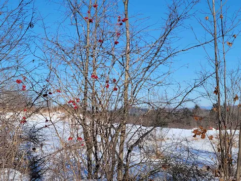 22 Crane Hill Road Sugar Hill NH 03586