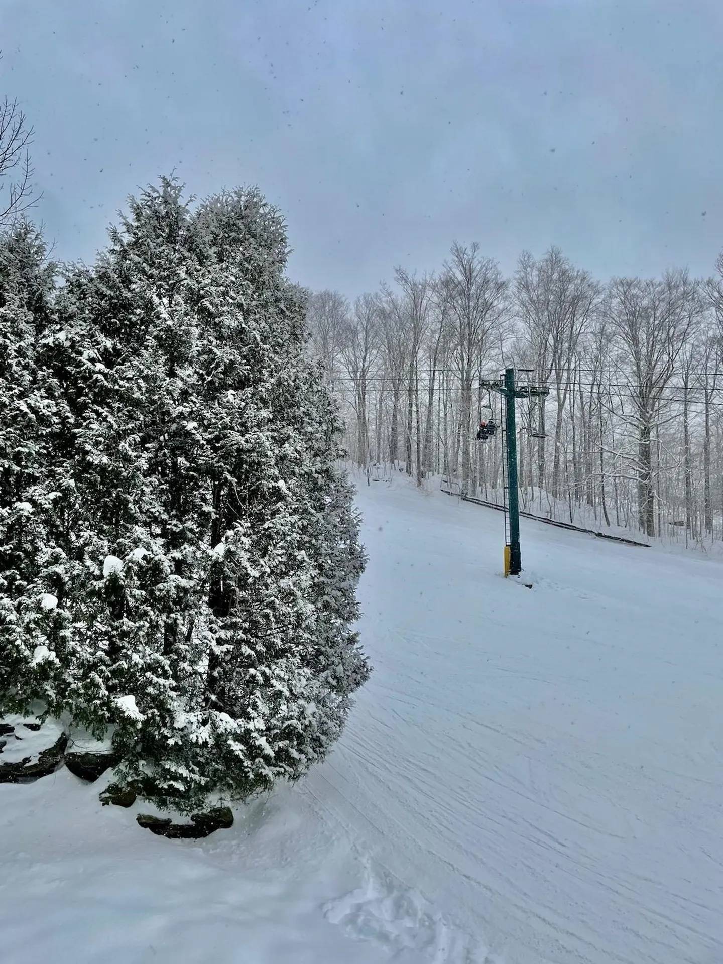 24/b Willows Cambridge VT 05464