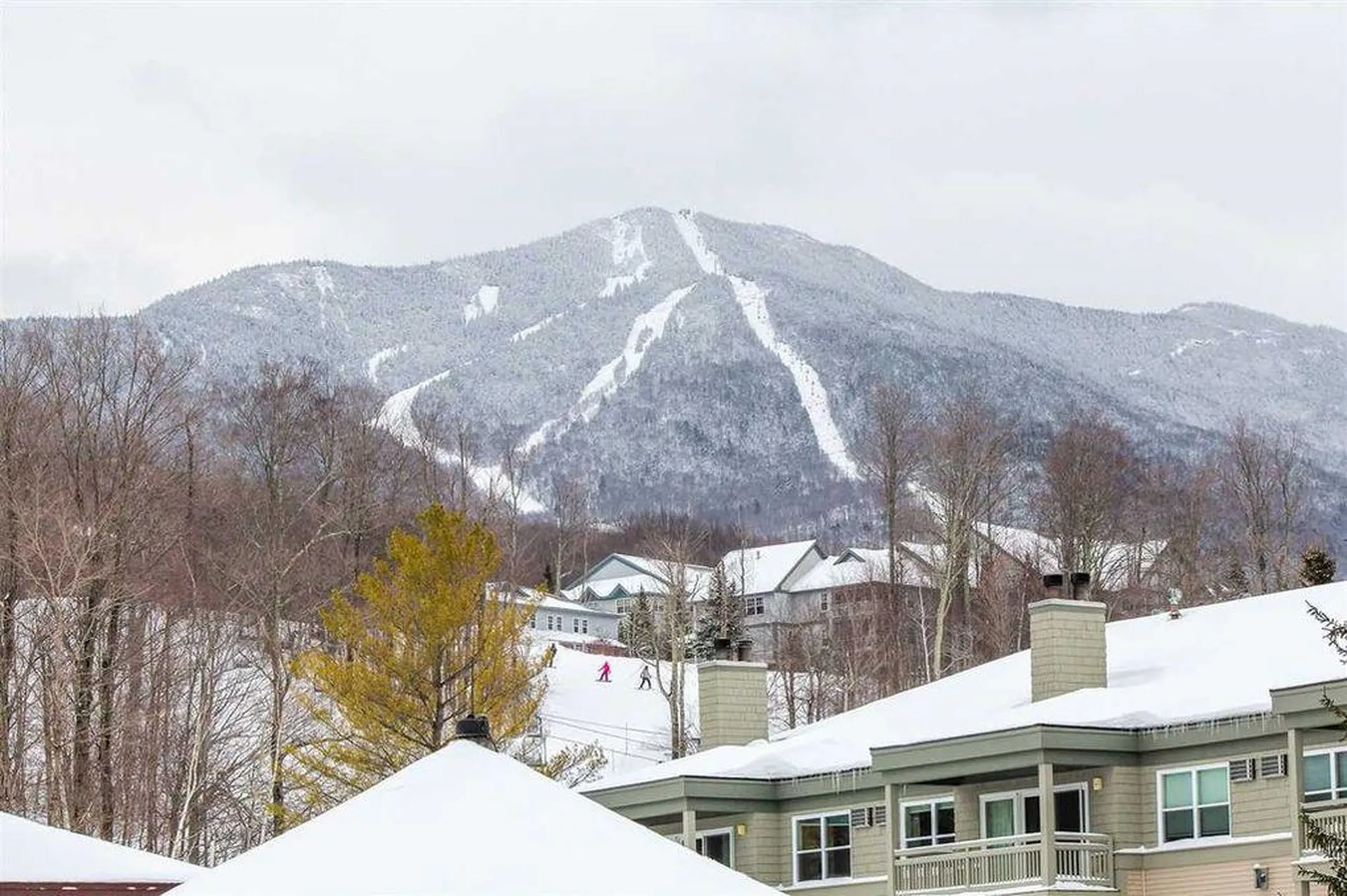 24/b Willows Cambridge VT 05464
