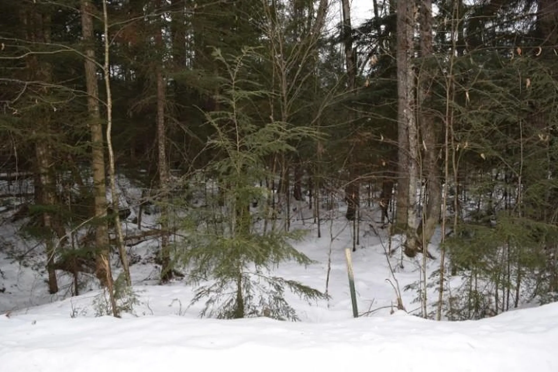 Simonds Road Haverhill NH 03765